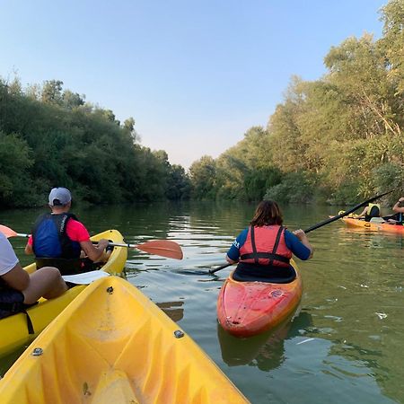 La Dehesa Experiences Otel Adamuz Dış mekan fotoğraf