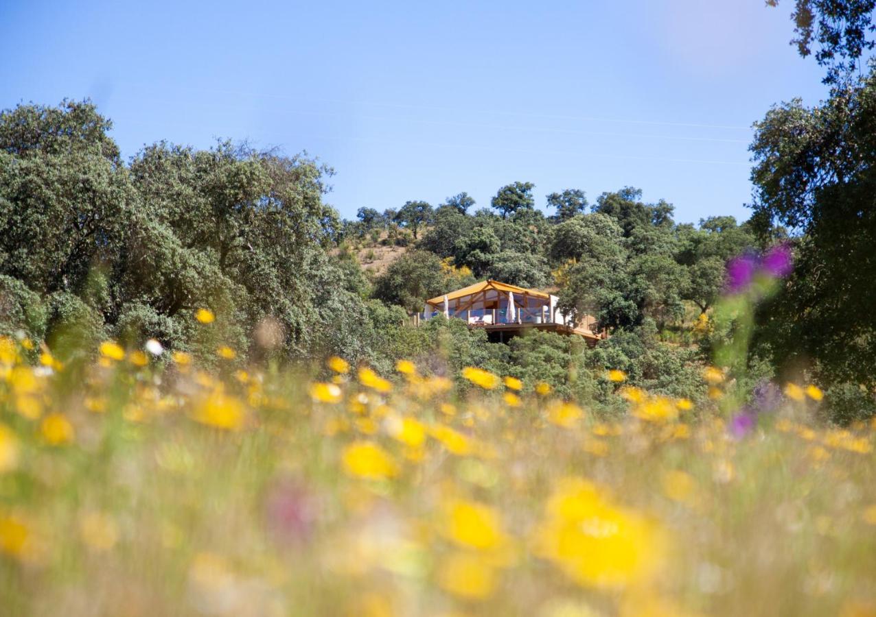 La Dehesa Experiences Otel Adamuz Dış mekan fotoğraf