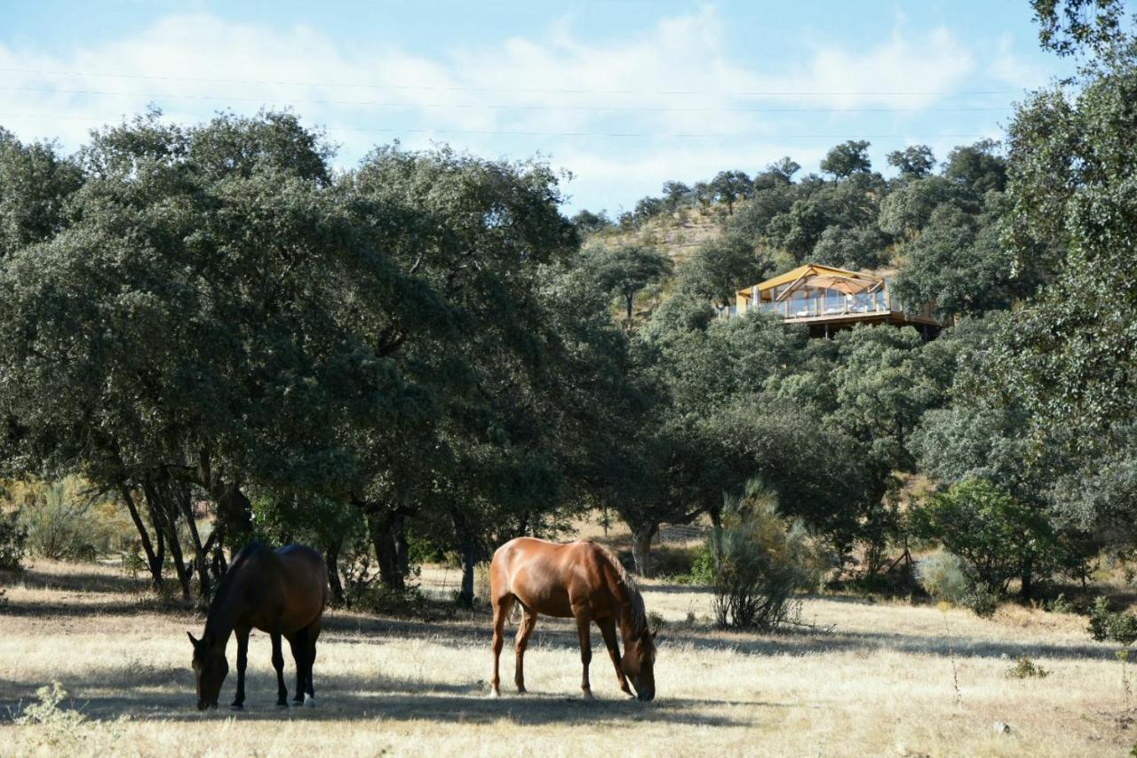 La Dehesa Experiences Otel Adamuz Dış mekan fotoğraf